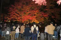 曽木公園の写真・動画_image_102317