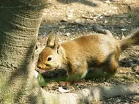 猿投山の写真・動画_image_102416