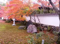 栗棘庵の写真・動画_image_102418