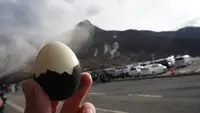大涌谷くろたまご館の写真・動画_image_102488