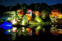 目白庭園の写真・動画_image_102489