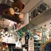 Aquviiの写真・動画_image_102705