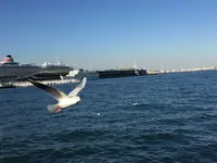 山下公園の写真・動画_image_102727