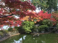 真如堂（真正極楽寺）の写真・動画_image_102832