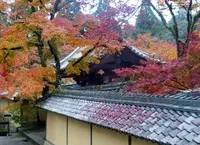 西明寺の写真・動画_image_102855