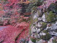 金剛輪寺の写真・動画_image_102857