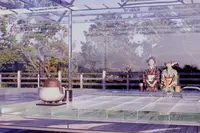 将軍塚青龍殿の写真・動画_image_102867