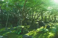 法輪寺(だるま寺)の写真・動画_image_102876