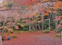石山寺の写真・動画_image_102896