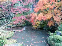 金剛輪寺の写真・動画_image_102912