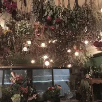 farverの写真・動画_image_102974