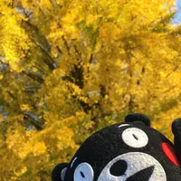 阿蘇フォークスクールの写真・動画_image_103003