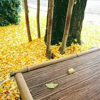 岡崎別院の写真・動画_image_103042