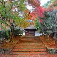 安楽寺の写真・動画_image_103120