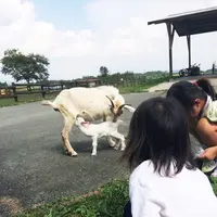 うぶやま牧場の写真・動画_image_103137