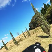 葉祥明阿蘇高原絵本美術館の写真・動画_image_103147