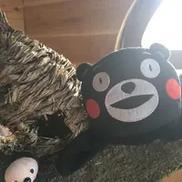 葉祥明阿蘇高原絵本美術館の写真・動画_image_103149