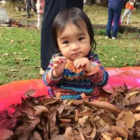 木魂館の写真・動画_image_103151