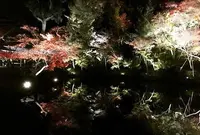 高台寺の写真・動画_image_103283