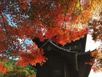 南禅寺の写真・動画_image_103292