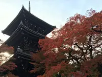 真如堂（真正極楽寺）の写真・動画_image_103299