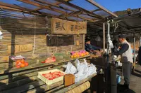 鶏足寺紅葉散策路の写真・動画_image_103311