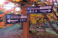 鶏足寺紅葉散策路の写真・動画_image_103312