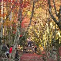 鶏足寺（旧飯福寺）の写真・動画_image_103314