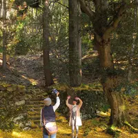 鶏足寺（旧飯福寺）の写真・動画_image_103315