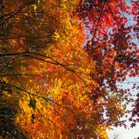 石道寺の写真・動画_image_103319
