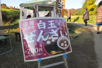 鶏足寺紅葉散策路の写真・動画_image_103324