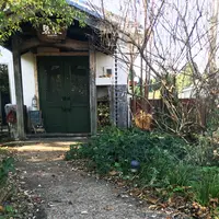 駱駝の写真・動画_image_103777