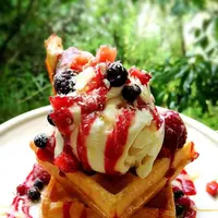 ふくカフェの写真・動画_image_103854