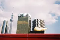 隅田公園の写真・動画_image_103969