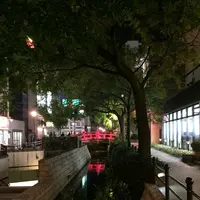 はりまや橋の写真・動画_image_103999