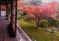 東光寺の写真・動画_image_104006