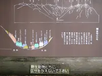 上高地の写真・動画_image_104174