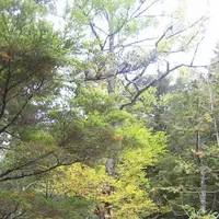 上高地の写真・動画_image_104193