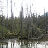 上高地の写真・動画_image_104196