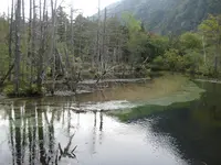 上高地の写真・動画_image_104197