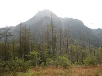 上高地の写真・動画_image_104201