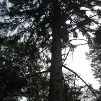 上高地の写真・動画_image_104203