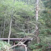 上高地の写真・動画_image_104205