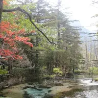 上高地の写真・動画_image_104206
