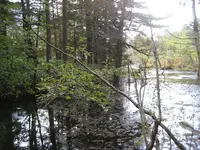 上高地の写真・動画_image_104208