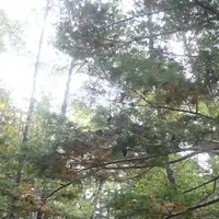 上高地の写真・動画_image_104213
