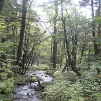 上高地の写真・動画_image_104225