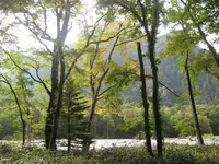 上高地の写真・動画_image_104232