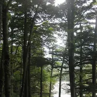 上高地の写真・動画_image_104237