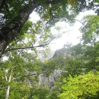 上高地の写真・動画_image_104250